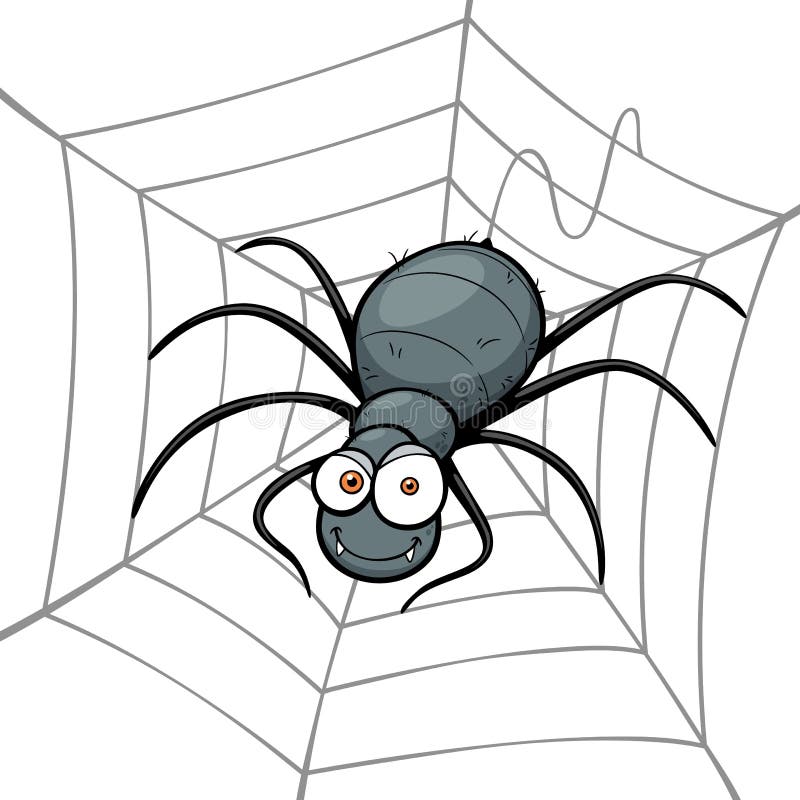 Spider