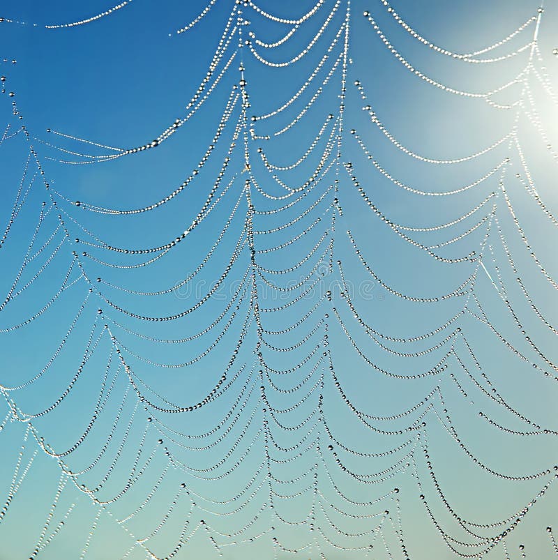 Dew drops on spider web against a sky background