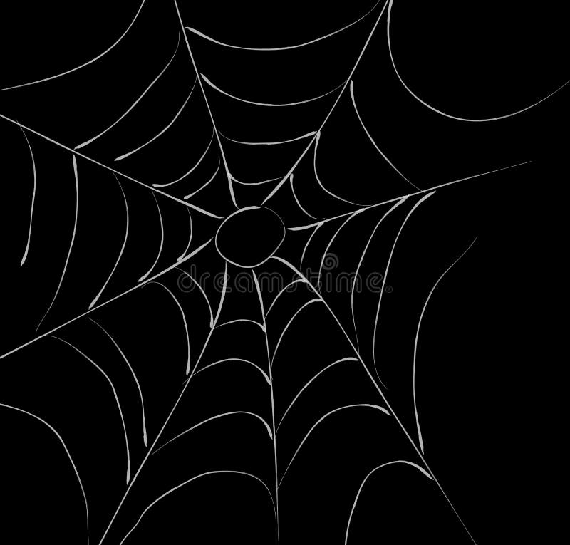 Spider Web