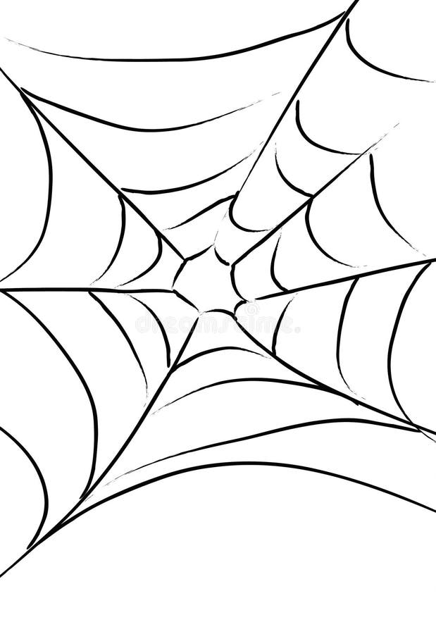 Spider Web