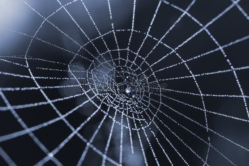 Spider web with dew drops symbolizing internet and other ways of communication