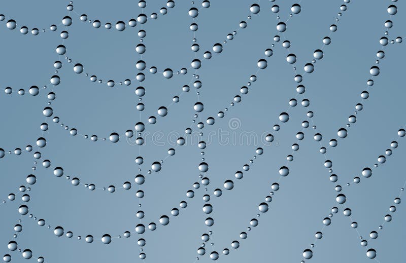 Spider web with dew drops closeup