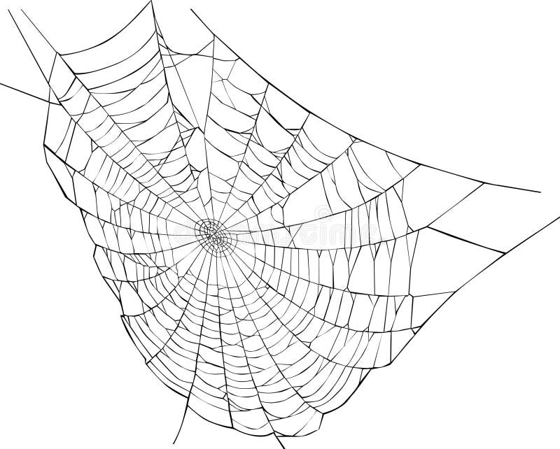 Spider web illustration