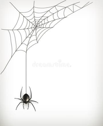 Spider Web Stock Illustrations – 71,325 Spider Web Stock Illustrations