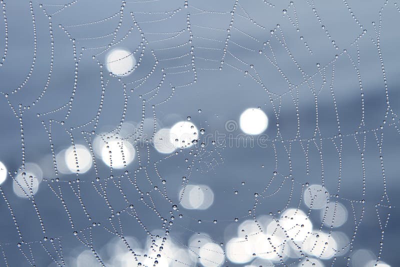 Morning dew on a spider web on a background of water