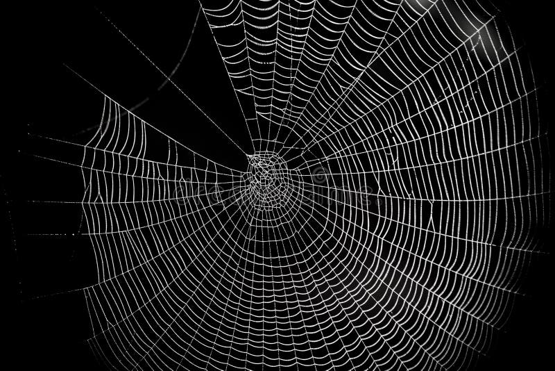 spider web pattern meth crackback