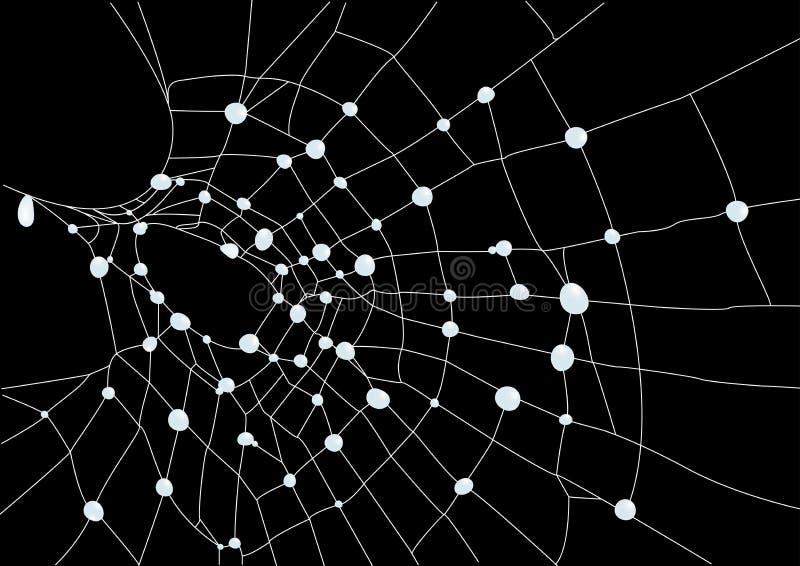 Spider web with water drops vector illustration