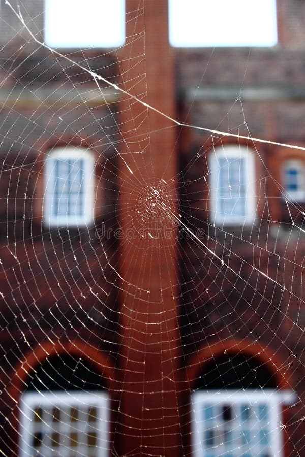 Spider web in window stock image. Image of abstract, spiderweb - 11785769