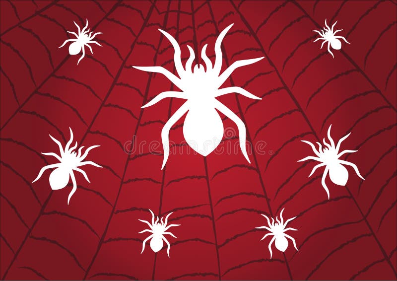 Spider white on Cobweb Red background. Vector illustration design vector illustration