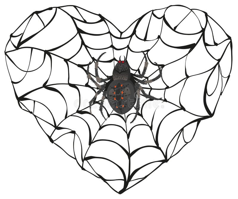 Spider wove web of heart shape. 