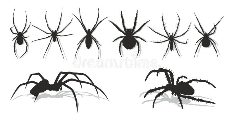 Spiders.