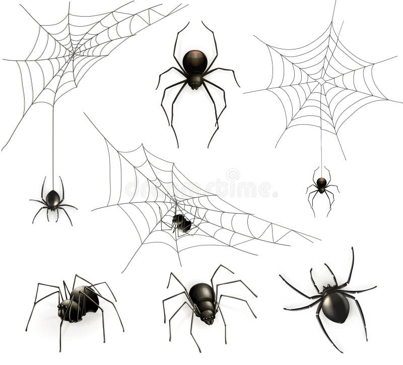 Various Spider Species Poses Cartoon Vector Illustration Stock Vector -  Illustration of cellar, halloween: 161254054