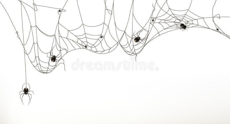 Pavúky a pavučina, vektorové ilustrácie, na bielom pozadí.