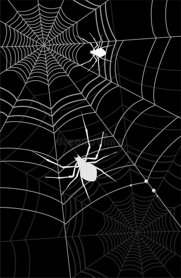 Background for a party with a spider web spiders. Spiderwebs vectors