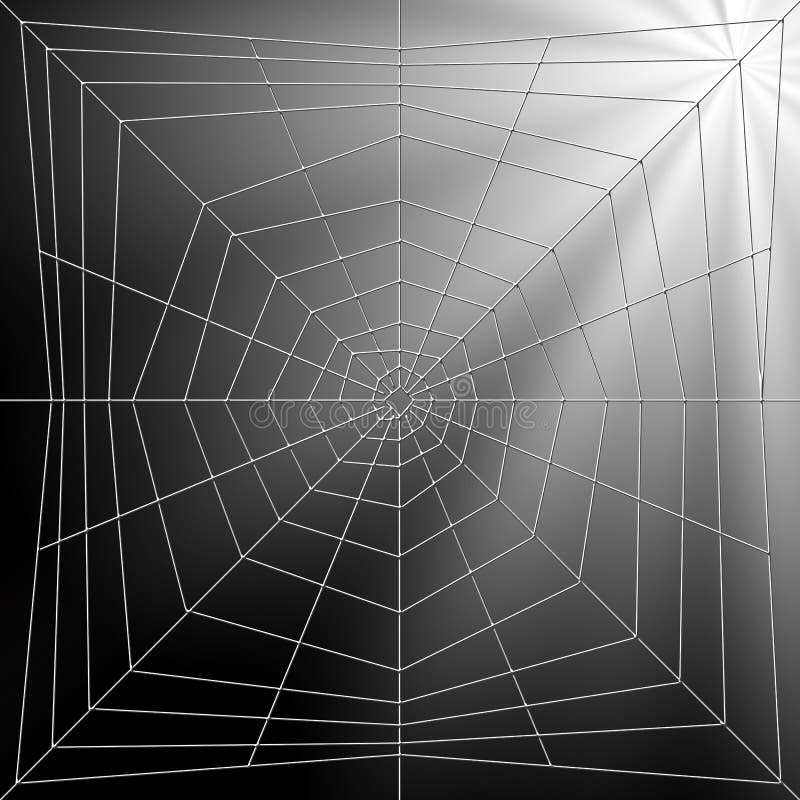 Spiderweb Illustration