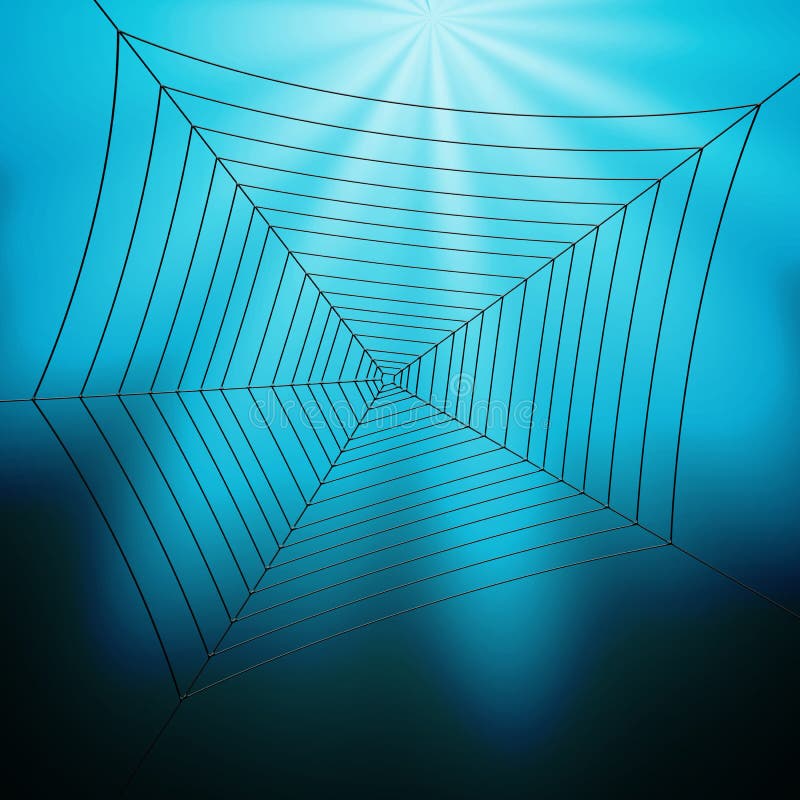 Spiderweb Illustration