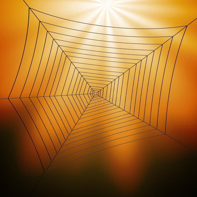 Spiderweb Illustration