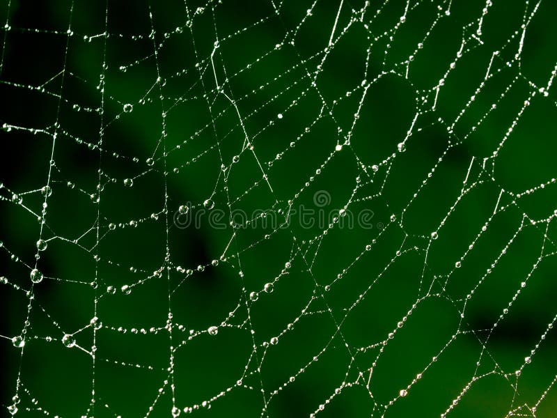 Spiderweb pattern.