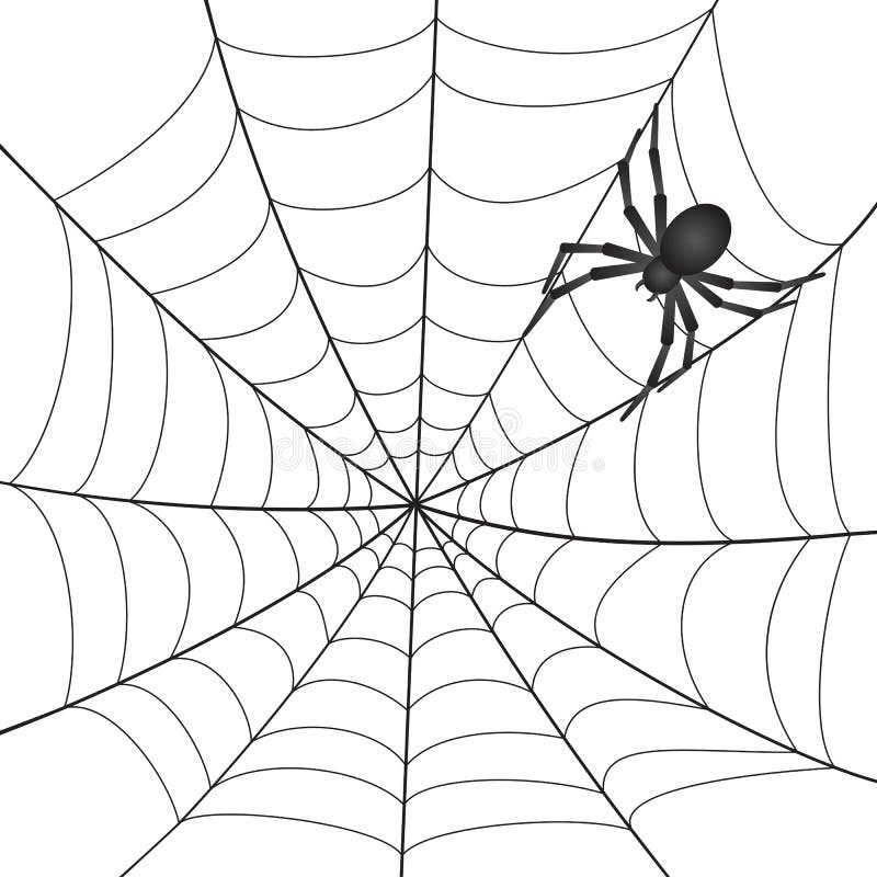 A Spiderweb with Spider