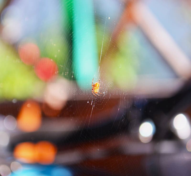 Spiderweb ή αράχνη στο οριζόντιο υπόβαθρο στοκ εικόνες Spiderweb ή αράχνη στο οριζόντιο υπόβαθρο στοκ εικόνες
