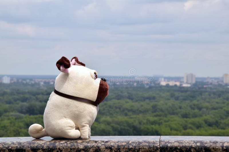 spielen Sie die Pugnatur Pug-Spielzeugstadt, die das weiche Spielzeug eines Pughundes in der Stadt auf einem Brücken- und Stadtsk stockfoto spielen Sie die Pugnatur Pug-Spielzeugstadt, die das weiche Spielzeug eines Pughundes in der Stadt auf einem Brücken- und Stadtsk stockfoto