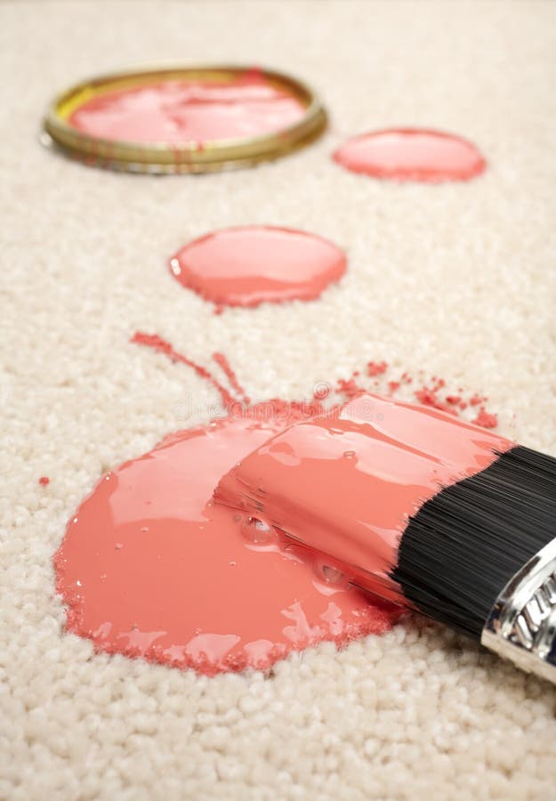 Spilled Paint on Carpet Insurance Claim Accident Stock Image Image of