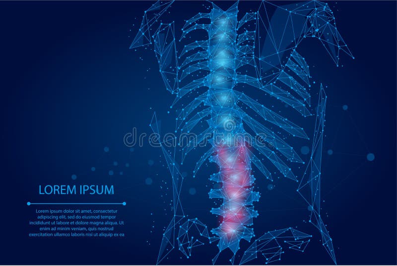 Abstract mesh line and dot physiotherapy human spine. Polygonal render female back hernia