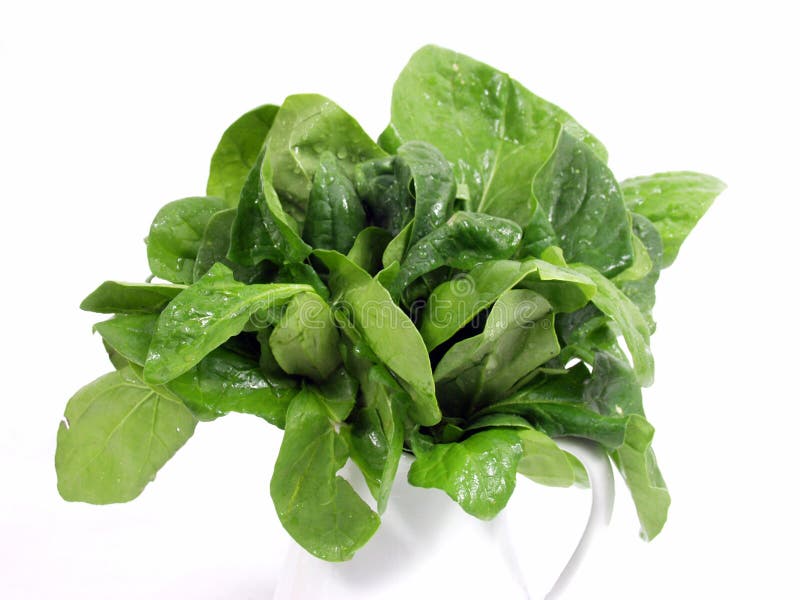 Spinach