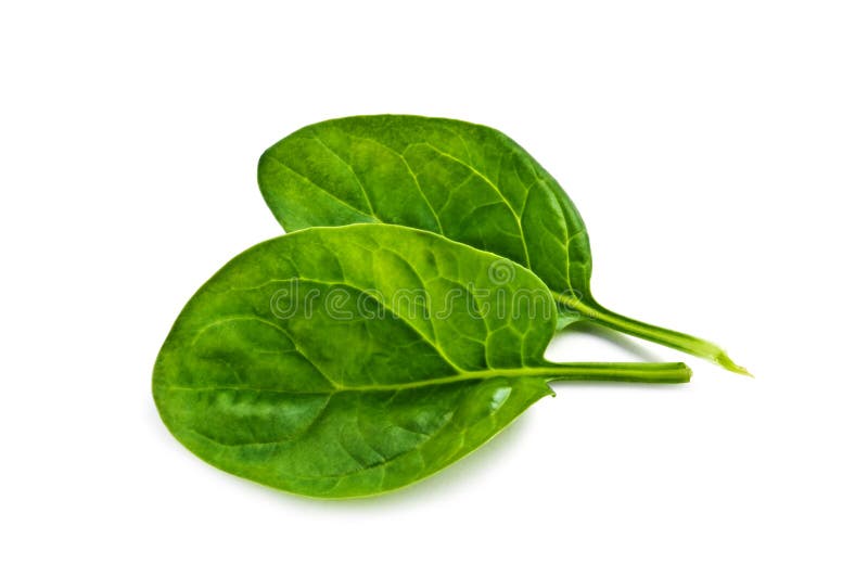 Spinach