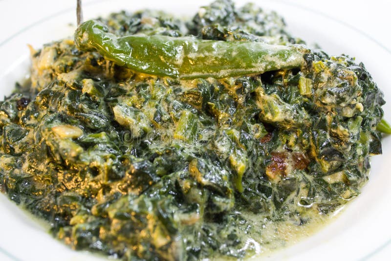 Spinach with coconut milk stock image. Image of fish - 30821615