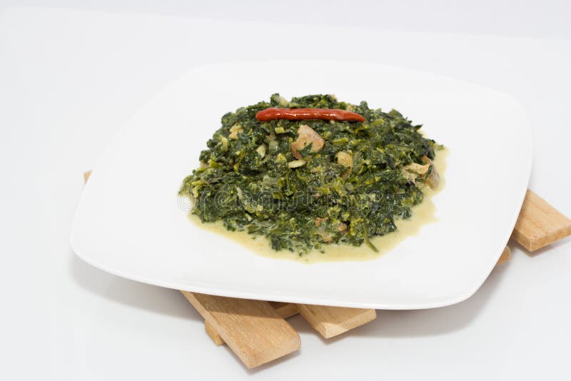 Spinach with coconut milk stock photo. Image of delicious - 46895034