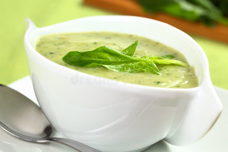 Spinach Cream Soup stock photo. Image of photograph, leaf - 21819392