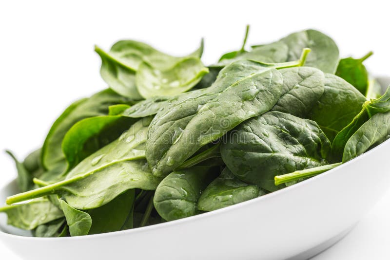 Spinach. Fresh Baby Spinach Leaves in Plate Isolated on White Stock