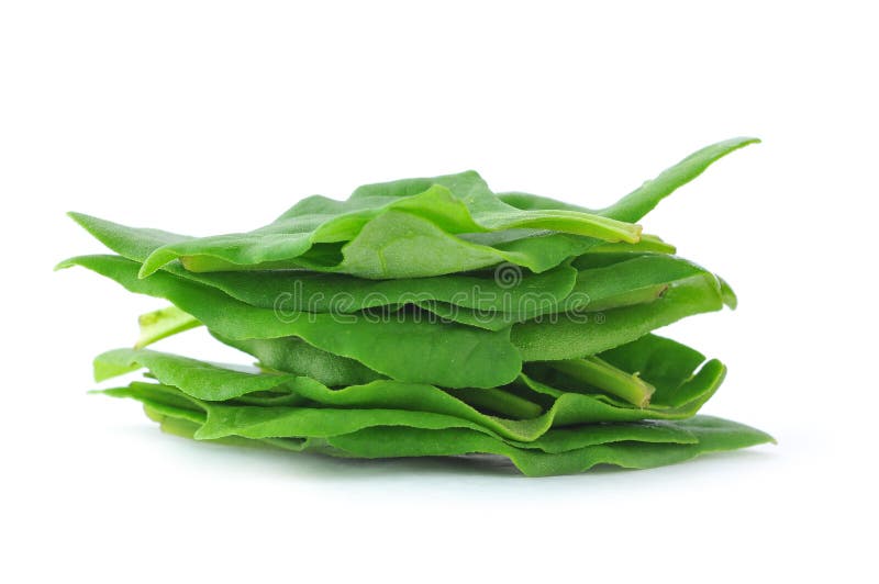 Spinach fresh leaves stock image. Image of full, food - 9553091