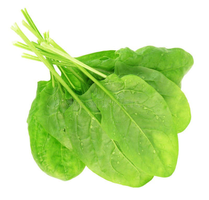 Spinach leaves stock image. Image of nutritious, vegetable - 14315389