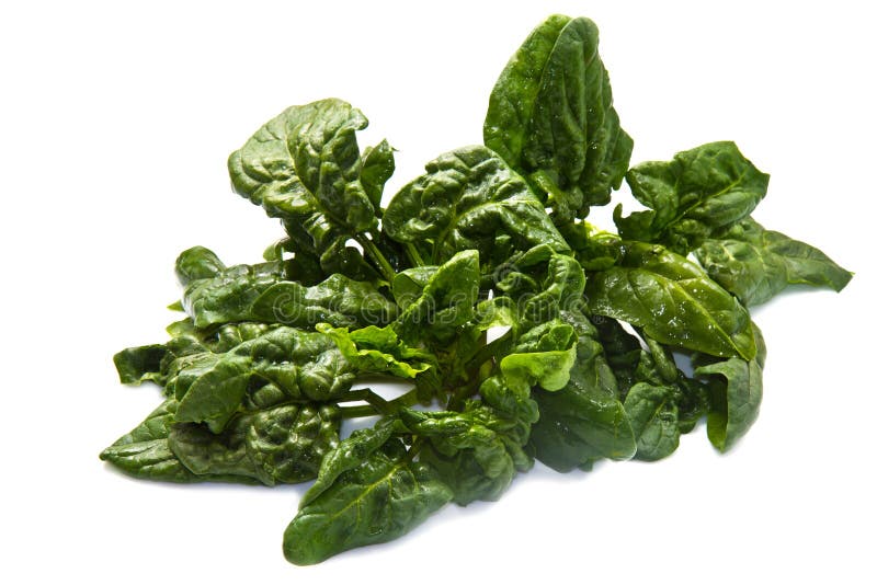 Spinach leaves royalty free stock photo