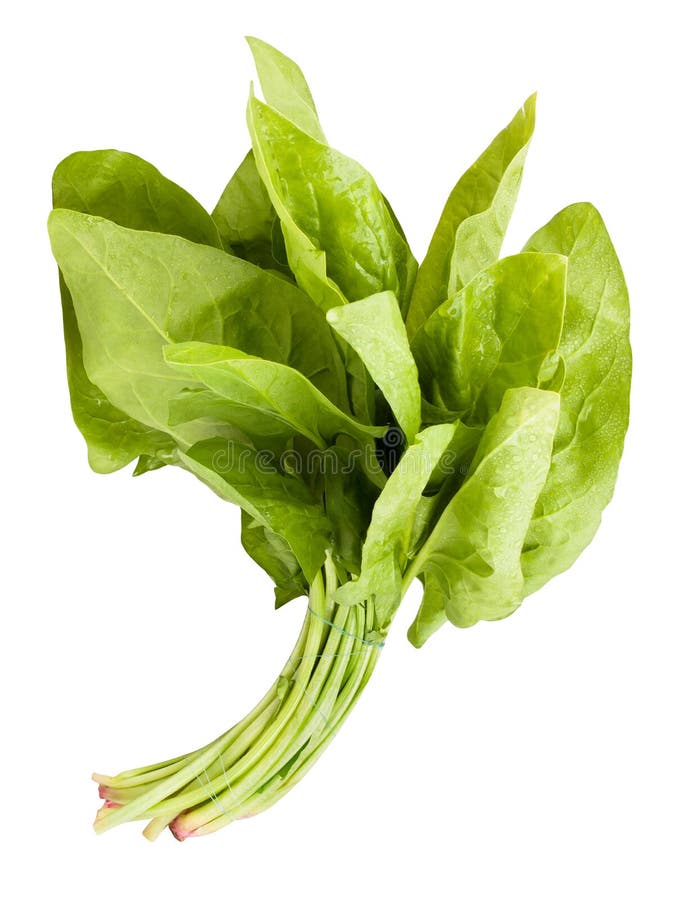 Spinach leaves bunch stock image. Image of delicious 32812567