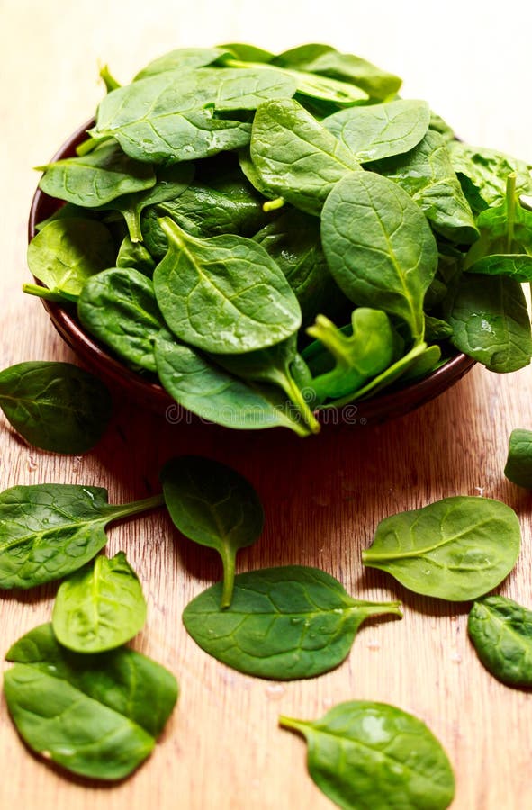 Spinach Leaves stock image. Image of diet, flat, cooking - 53394257