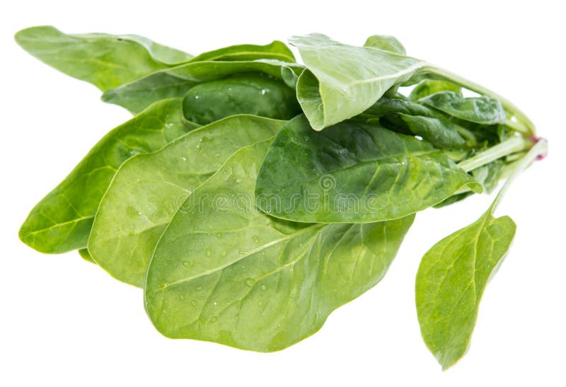 Spinach Leaves Isolated on White Stock Image Image of ingredient, fresh 33159355