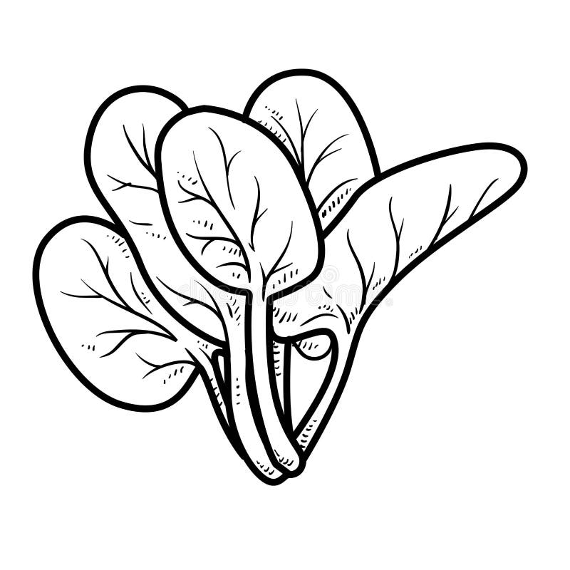 Spinach Coloring Pages Template Sketch Coloring Page