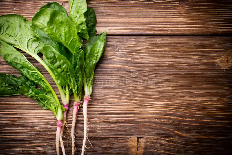 Spinach. stock image. Image of botany, vegetables, eating 42446557