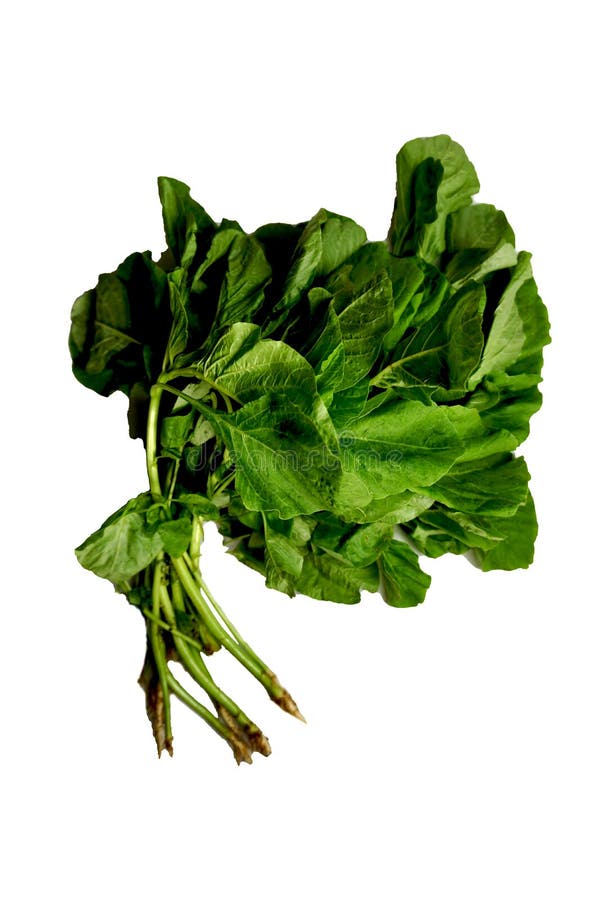 Spinach vegetable stock image. Image of freshness, natural - 176322443