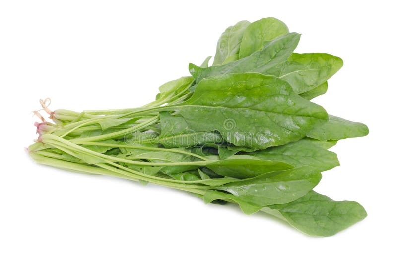 Spinach