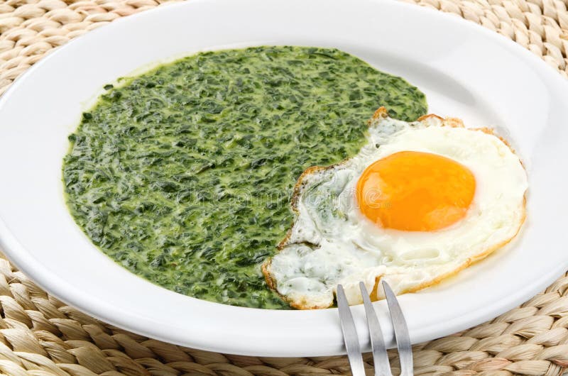 Spinat mit gekochtem Ei stockbild. Bild von teller, flüssigkeit - 23931873 Spinat mit gekochtem Ei stockbild. Bild von teller, flüssigkeit - 23931873