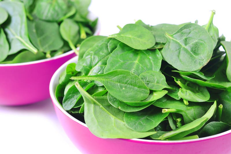 Fresh spinach in the magenta bowl. Fresh spinach in the magenta bowl