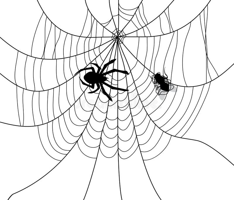 Spinne, Netz und eine gefangene Fliege lizenzfreie abbildung