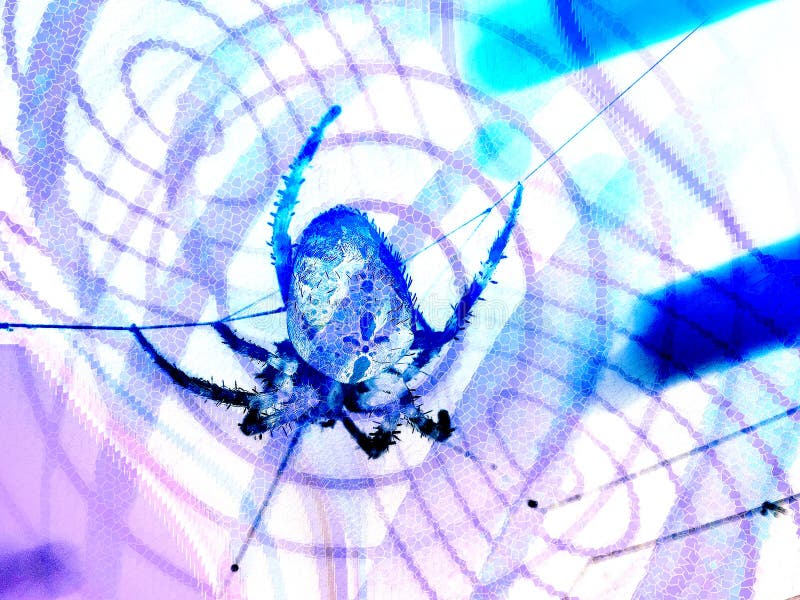 Spinnenabbildung lizenzfreie abbildung Spinnenabbildung lizenzfreie abbildung