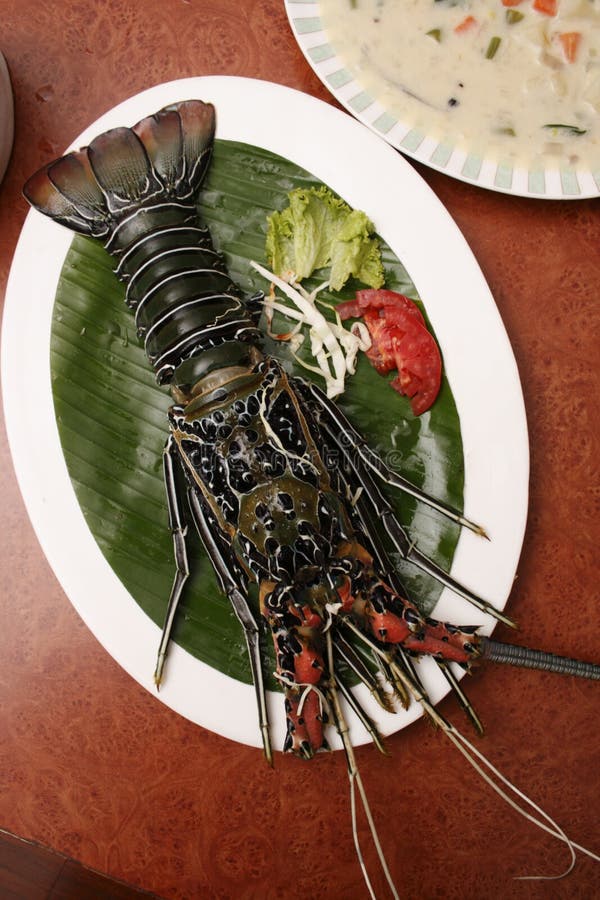 Spiny Lobster Goa India Stock Photos Free & RoyaltyFree Stock Photos