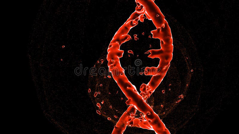 Spiral för rött DNA för förstörelse som dubbel isoleras på svart bakgrund med illustrationen för kopieringsutrymme 3D stock illustrationer Spiral för rött DNA för förstörelse som dubbel isoleras på svart bakgrund med illustrationen för kopieringsutrymme 3D stock illustrationer