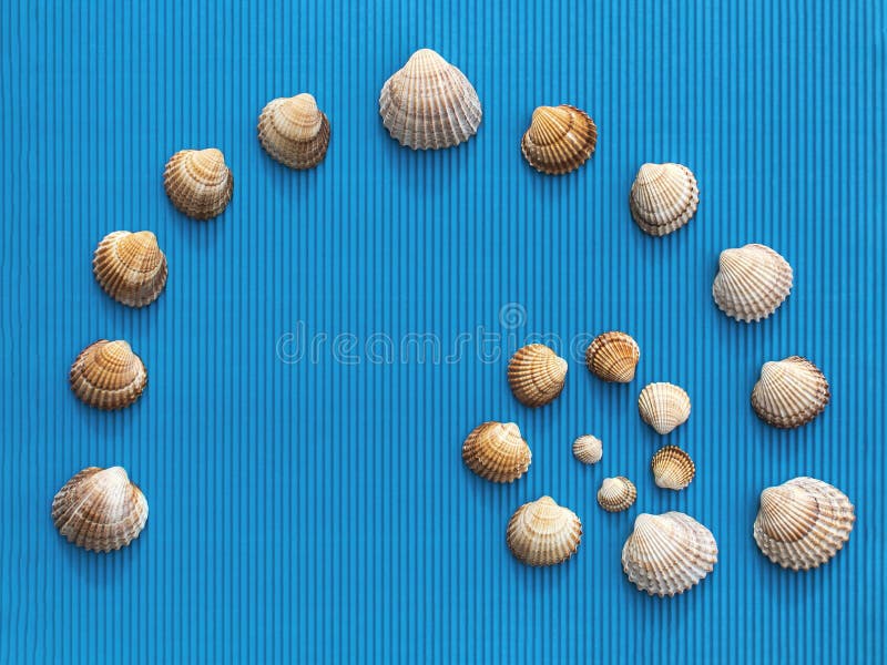 Spiral made of seashells royalty free stock image